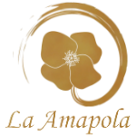 Latizo Logo