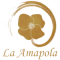 Latizo Logo